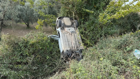 Sollama yaparken zeytinliğe uçtu