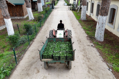 Osmangazi Belediyesi doğal üretimle sofralara sağlık sunuyor