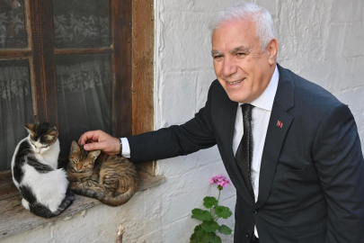 Bursa Büyükşehir patili dostların yanında