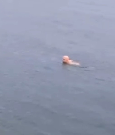 Bursa’da dondurucu soğukta deniz keyfi