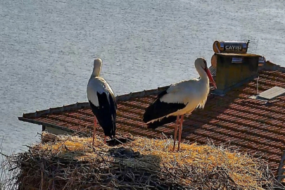 Beklenen buluşma gerçekleşti